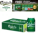 Carlsberg Danish Pilsner Beer Can Silver Assorted (24x320ml)